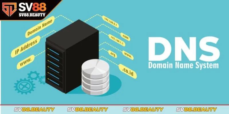 Sử dụng một DNS khác để tránh chặn